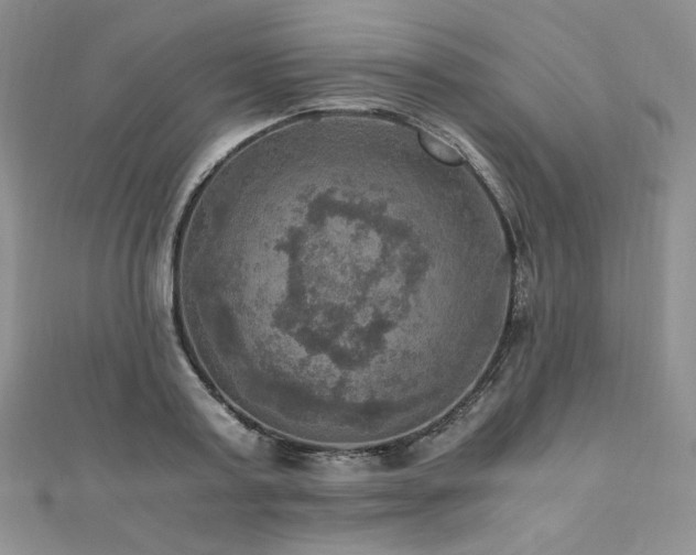 X0000110890795200906181245