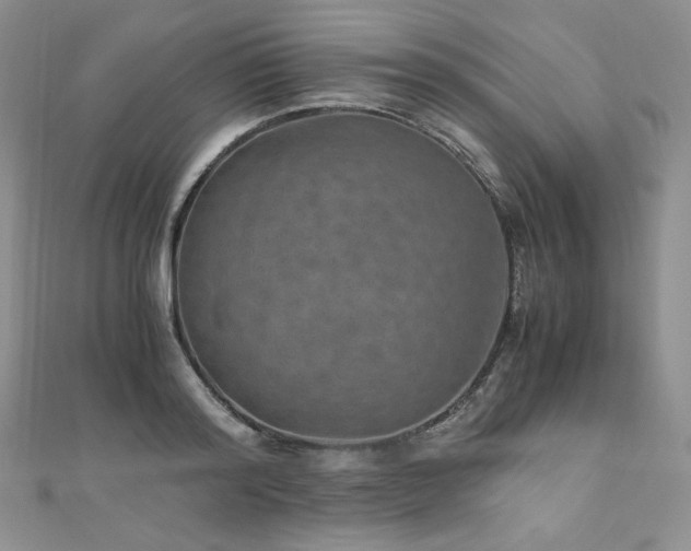 X0000110890796200906181245