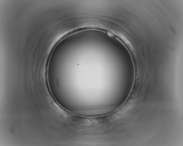X0000110890799200906181245
