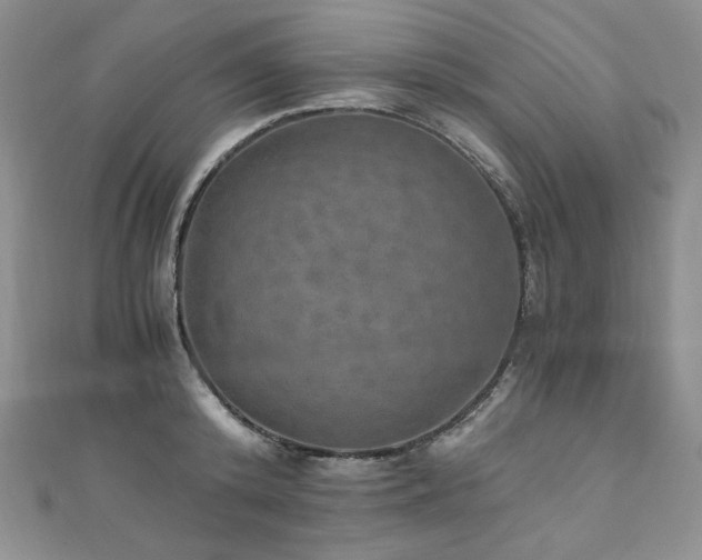 X0000110890800200906181245