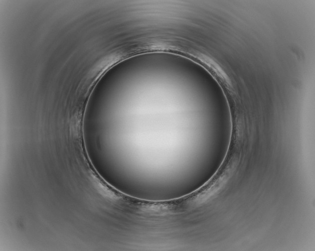X0000110890801200906181244