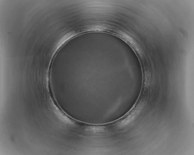 X0000110890802200906181244