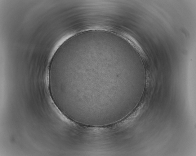 X0000110890804200906181244