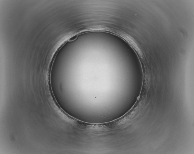 X0000110890805200906181244