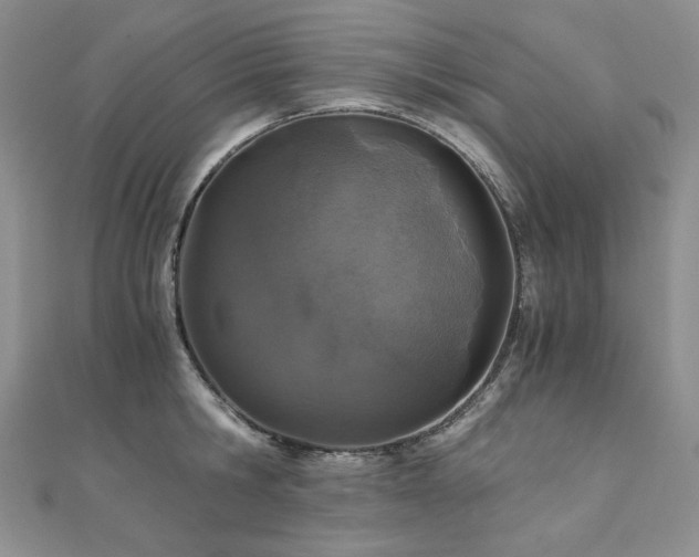 X0000110890806200906181244