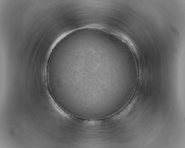 X0000110890808200906181244