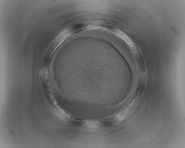 X0000110890809200906181244