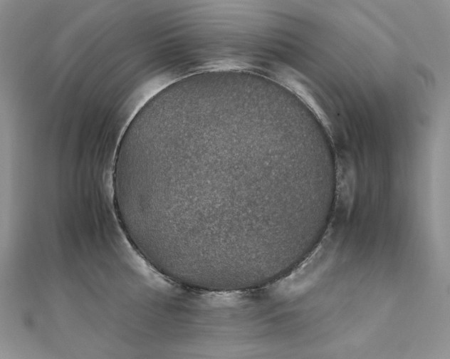 X0000110890810200906181244