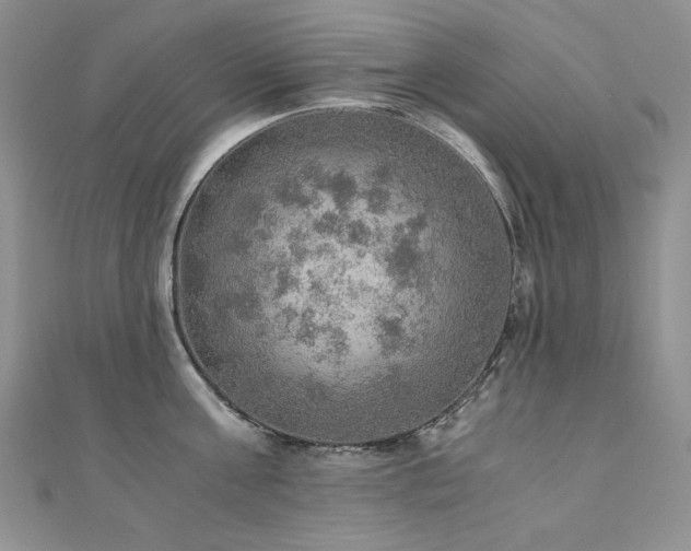 X0000110890811200906181244