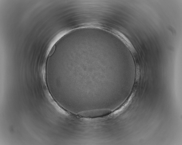 X0000110890812200906181244