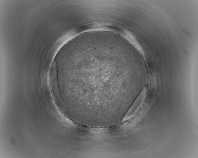 X0000110890813200906181244