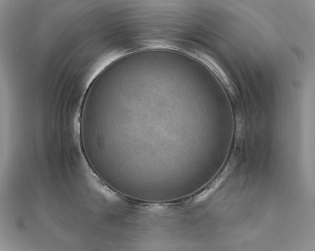 X0000110890814200906181244