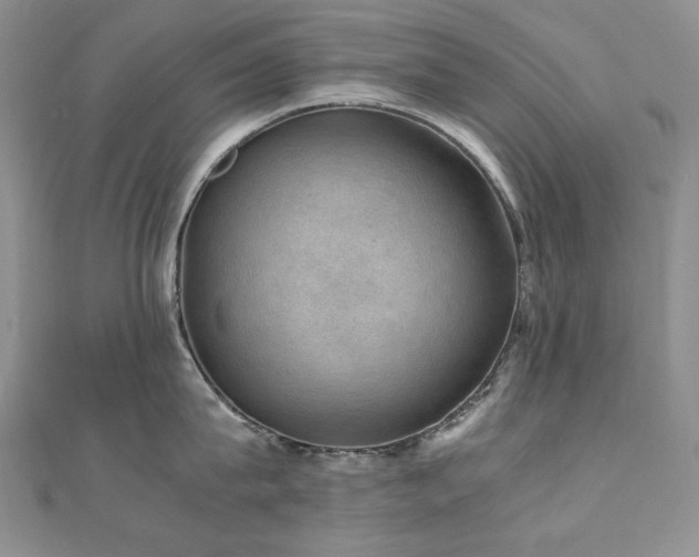 X0000110890815200906181244