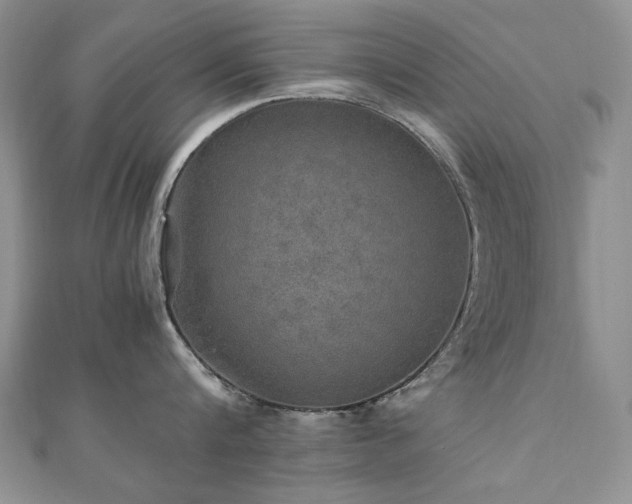 X0000110890816200906181244
