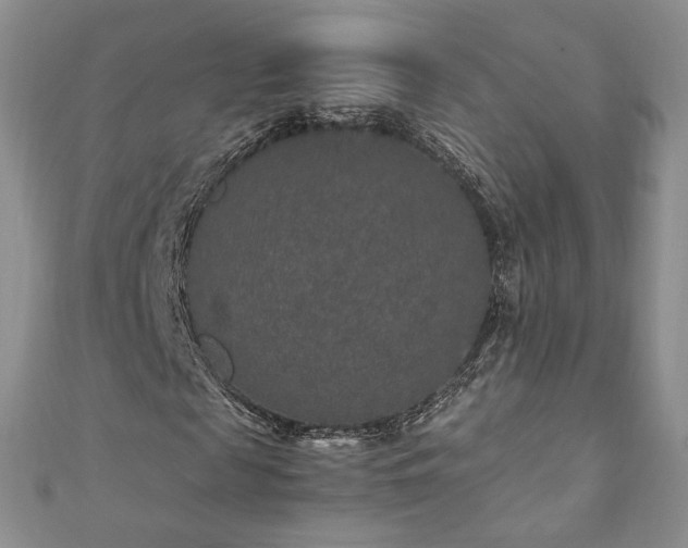X0000110890817200906181244