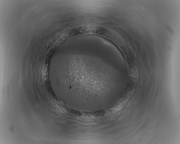 X0000110890818200906181244