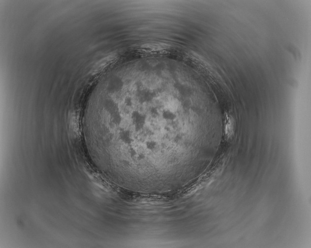 X0000110890819200906181244