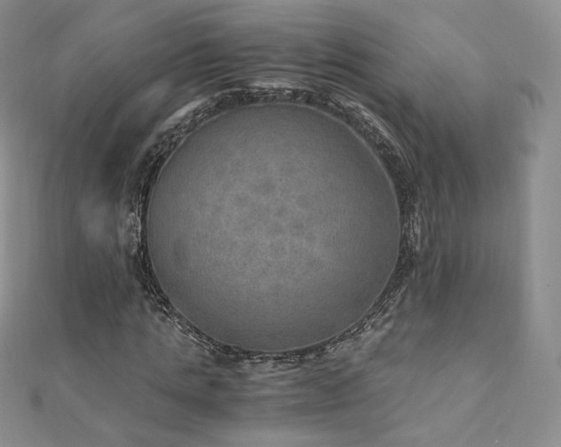 X0000110890821200906181244
