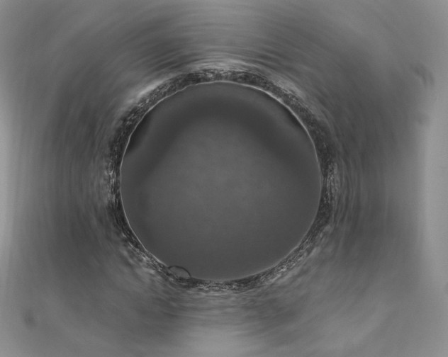 X0000110890822200906181244