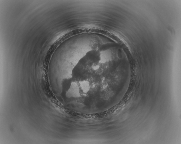 X0000110890823200906181244