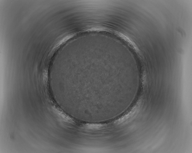 X0000110890825200906181244