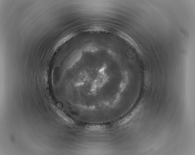 X0000110890826200906181244