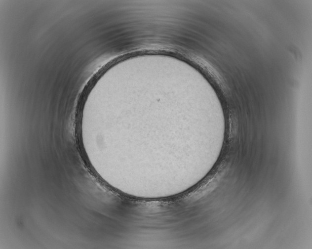 X0000110890828200906181244
