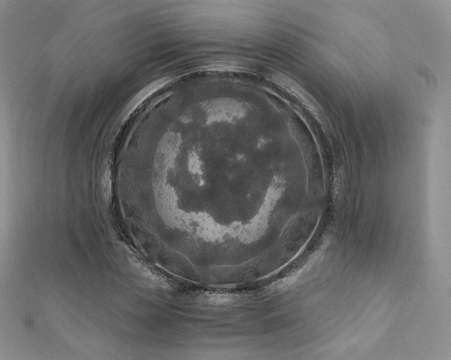 X0000110890829200906181244