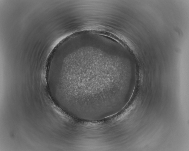 X0000110890830200906181244