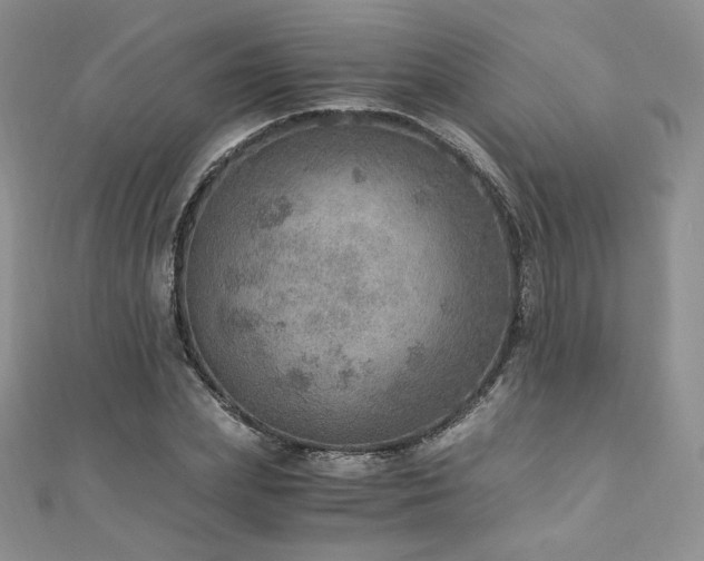X0000110890831200906181244