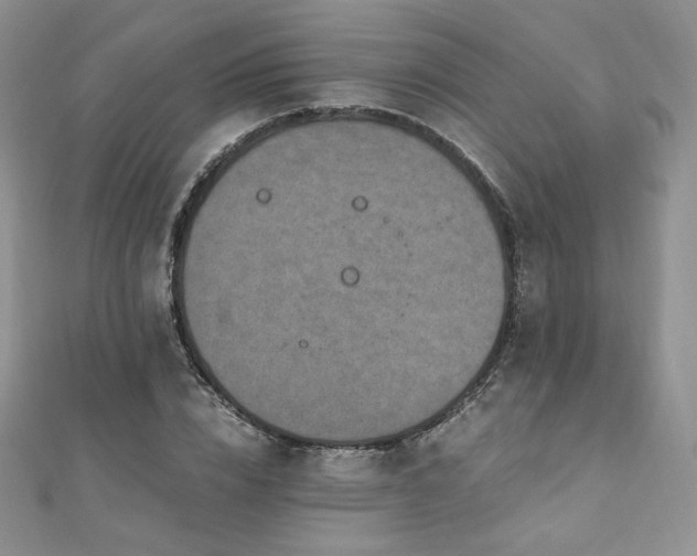 X0000110890832200906181244