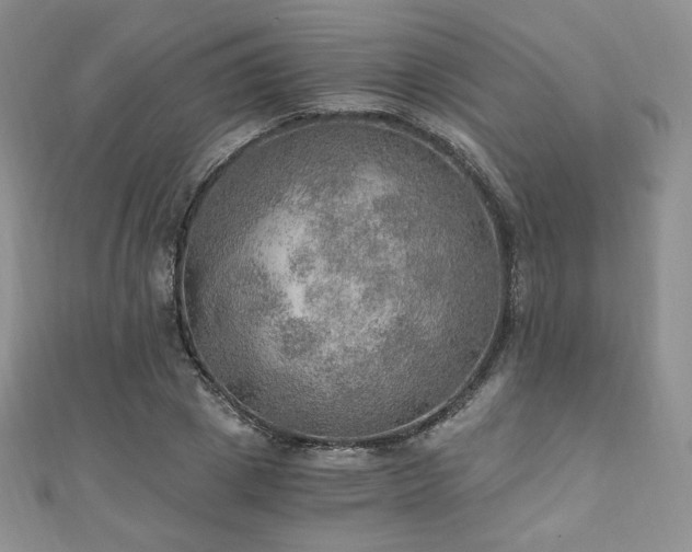 X0000110890833200906181244