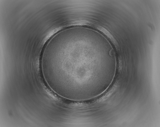 X0000110890834200906181244