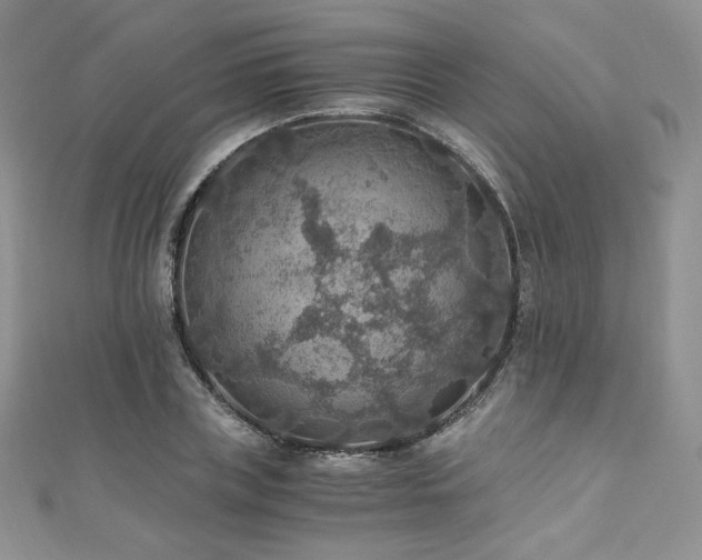 X0000110890835200906181244