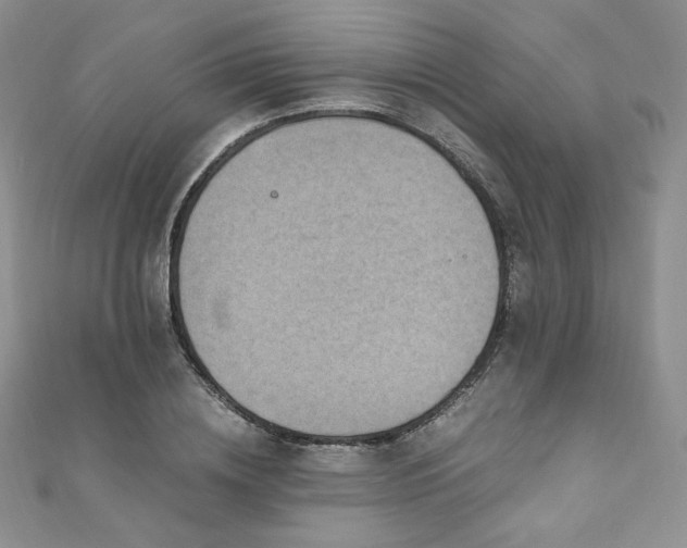 X0000110890836200906181244