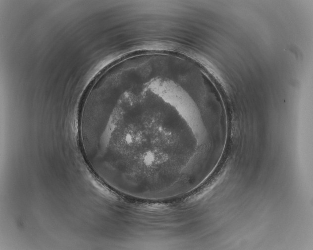 X0000110890837200906181244