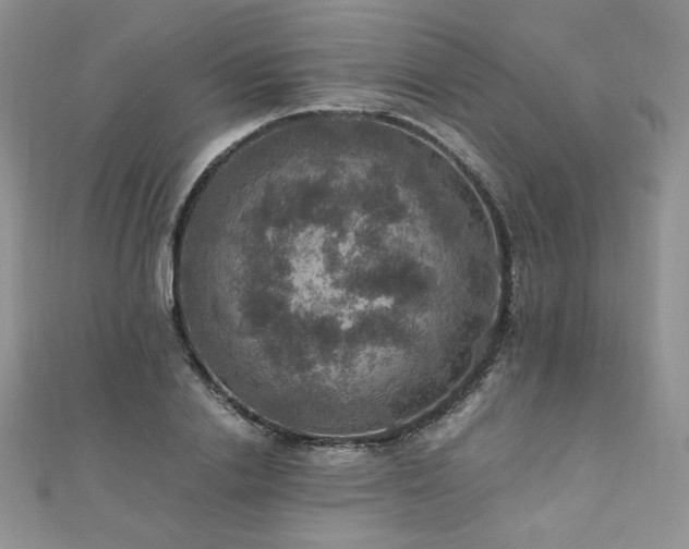 X0000110890838200906181244