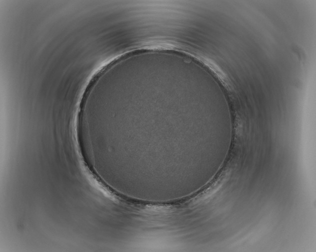 X0000110890840200906181244