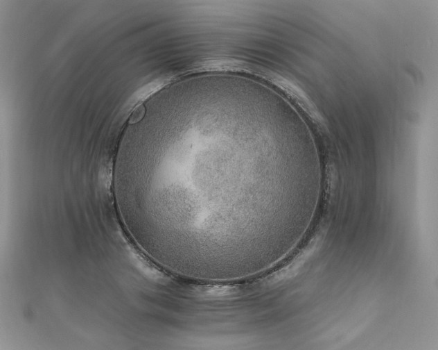 X0000110890841200906181244