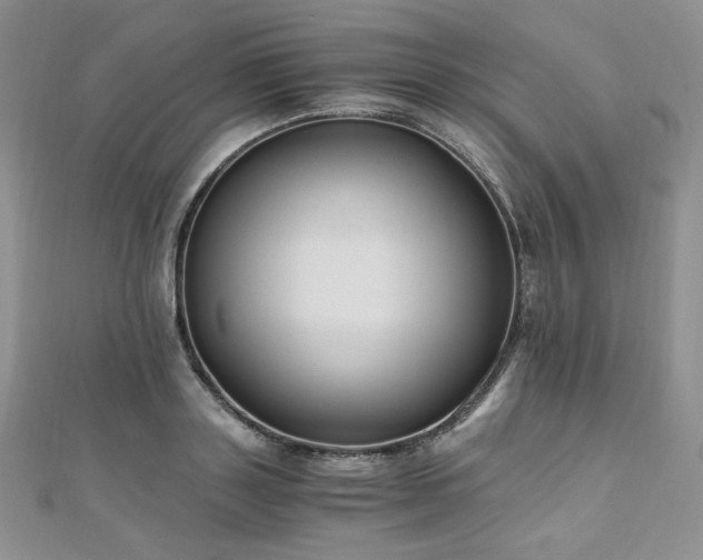 X0000110890843200906181244