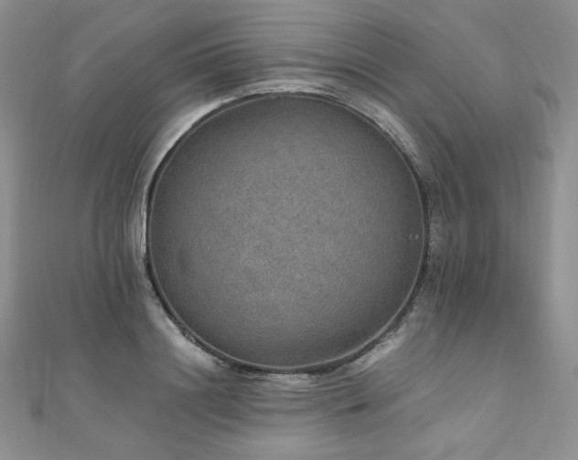 X0000110890844200906181244
