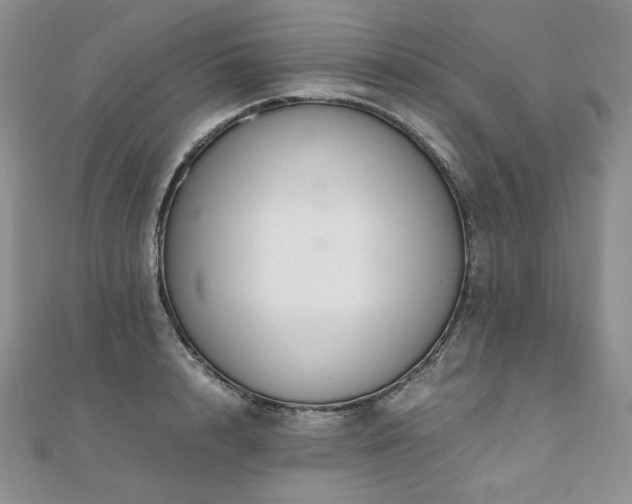 X0000110890848200906181244