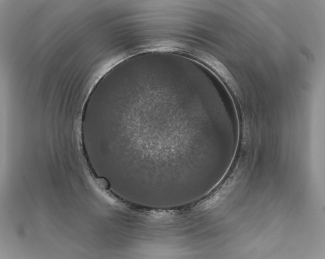 X0000110890850200906181244