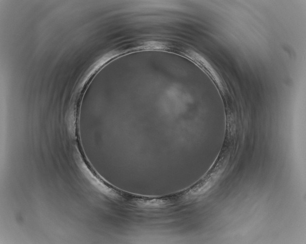 X0000110890851200906181244