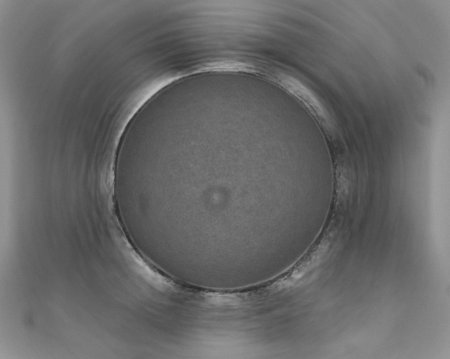 X0000110890852200906181244