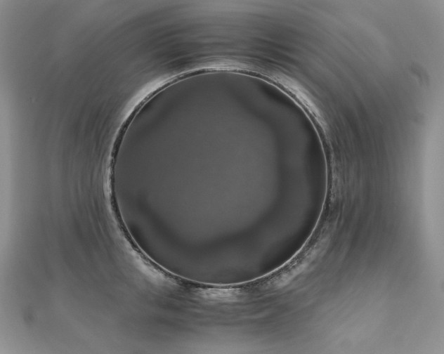 X0000110890853200906181244