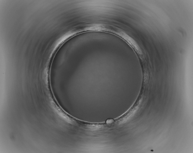 X0000110890854200906181244