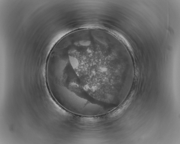 X0000110890855200906181244
