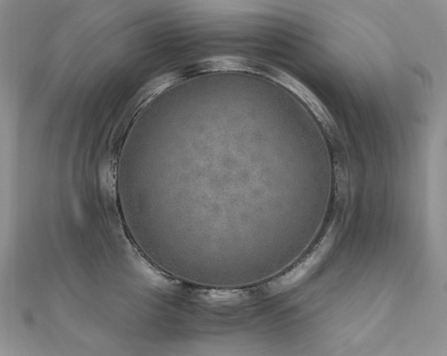X0000110890857200906181244