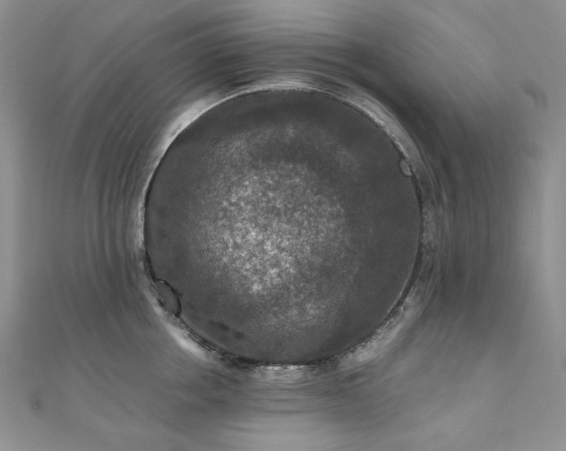 X0000110890858200906181244